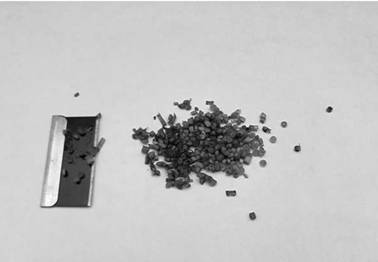 Preparation method and transient expression transformation method of sorghum protoplasts