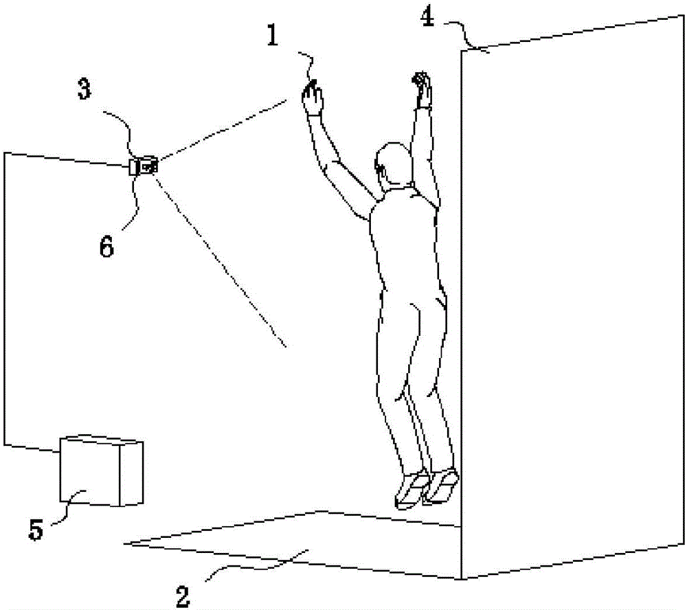 Physical constitution detection method and system