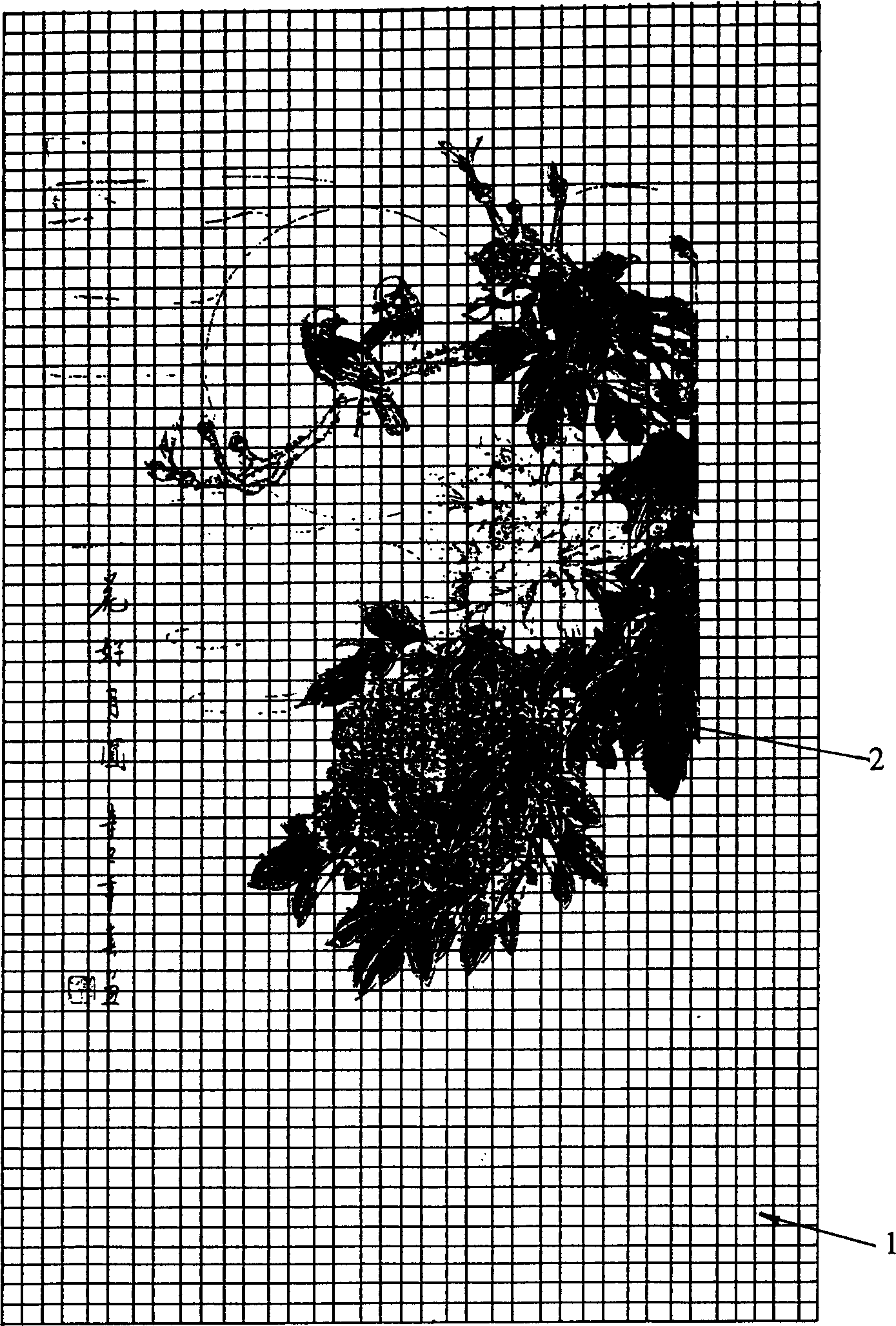 Monodirectional prespective window screening