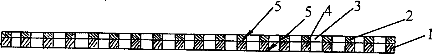 Monodirectional prespective window screening