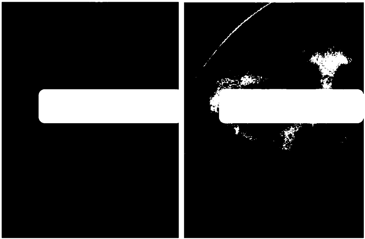 Skin-whitening and freckle-removing skin care product and preparation method thereof