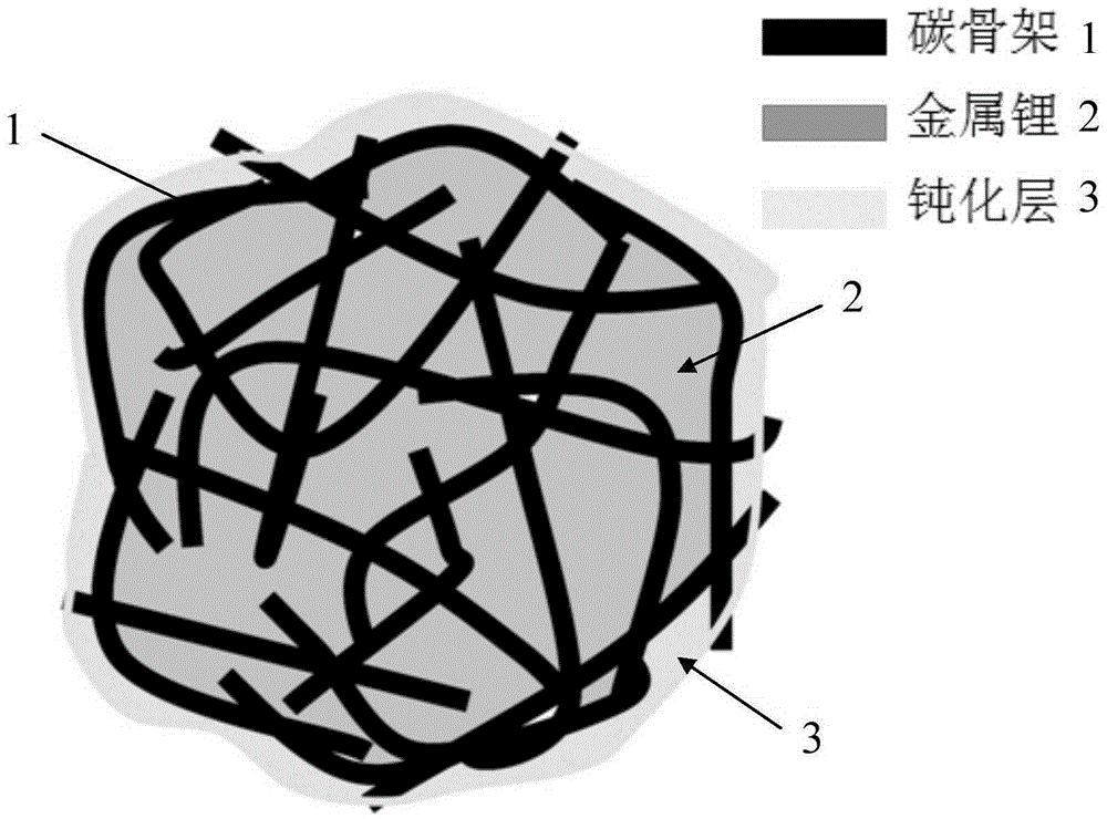 Passivated lithium metal-carbon skeleton composite material and preparation method and application thereof