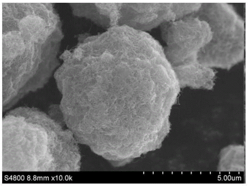 Passivated lithium metal-carbon skeleton composite material and preparation method and application thereof