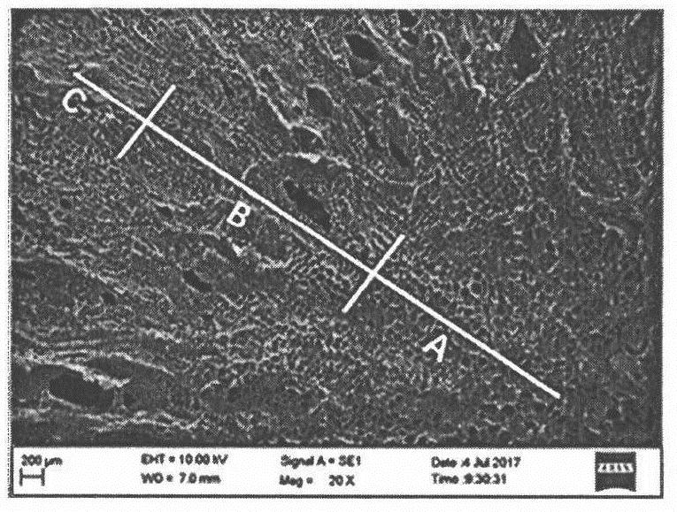 A kind of probiotic-rich freeze-dried carrot diced product and preparation method thereof