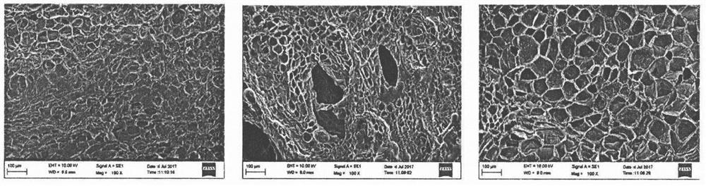 A kind of probiotic-rich freeze-dried carrot diced product and preparation method thereof