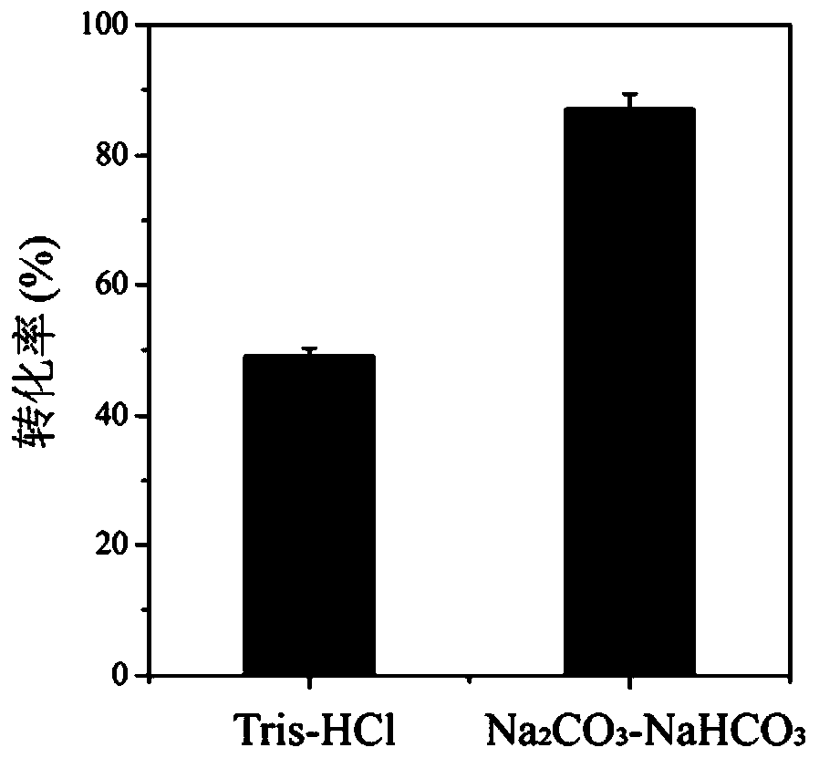 Method for improving production efficiency of D-tyrosine