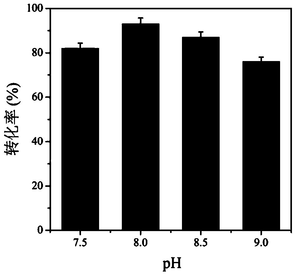 Method for improving production efficiency of D-tyrosine