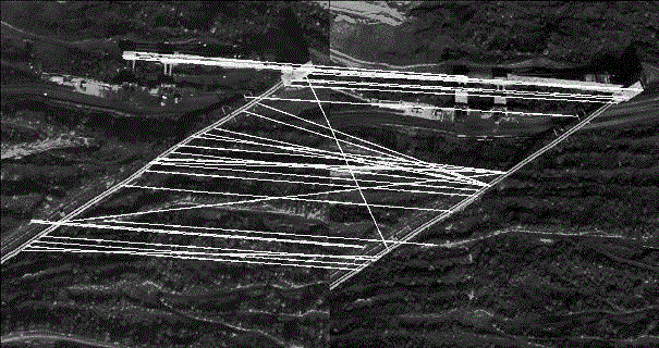 Method for demarcating large-deformation landslide displacement field based on high-resolution remote sensing image