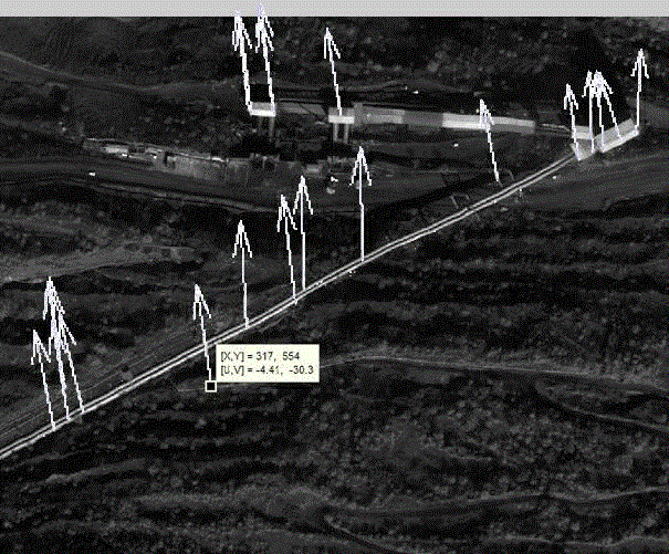 Method for demarcating large-deformation landslide displacement field based on high-resolution remote sensing image