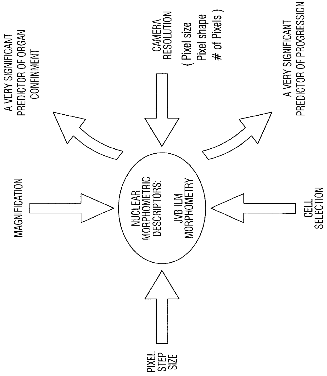 Prediction of prostate cancer progression by analysis of selected predictive parameters