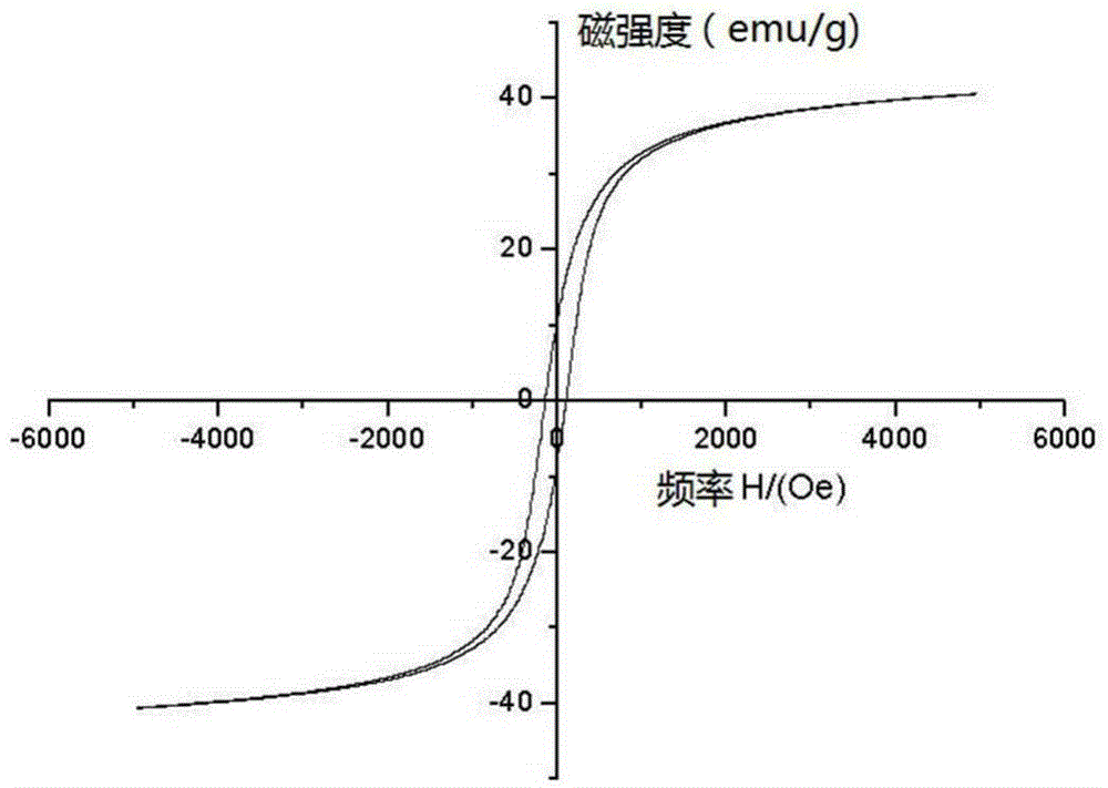 Preparation method of polydioxanone copolymer coated magnetic-particles