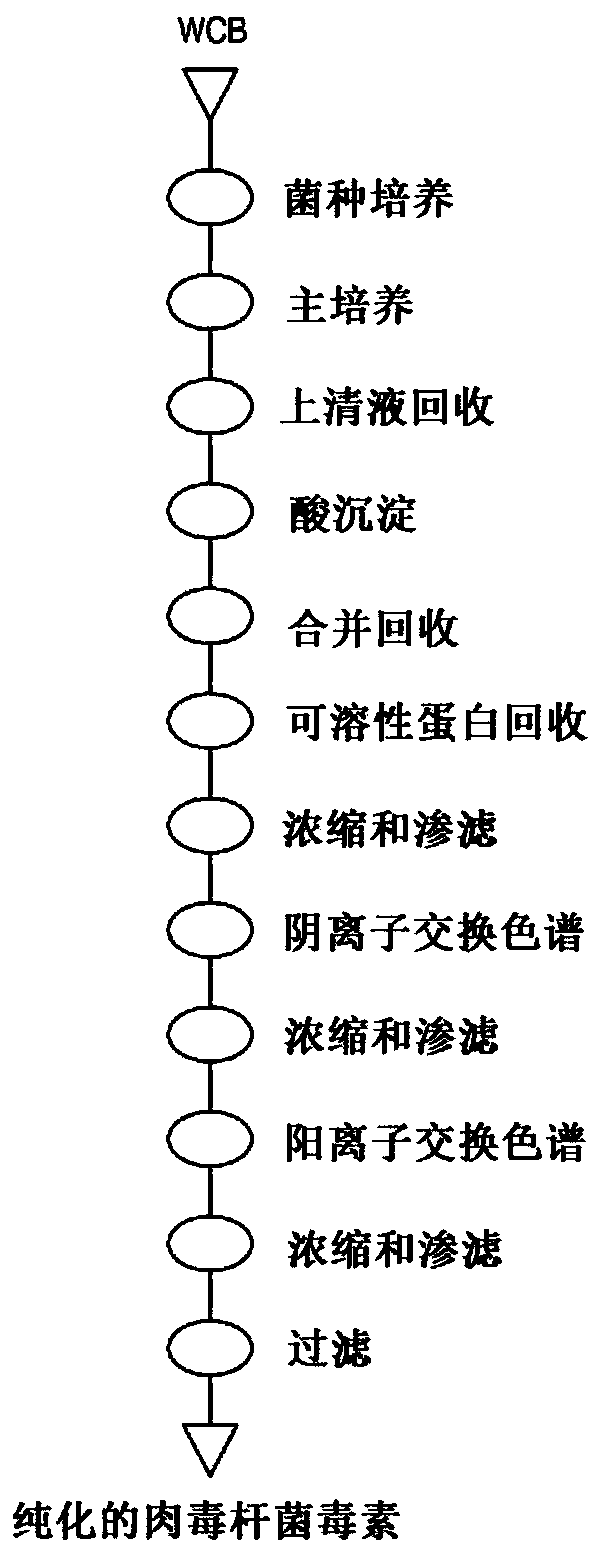 Method of isolating botulinum toxin from botulinum toxin-containing solution