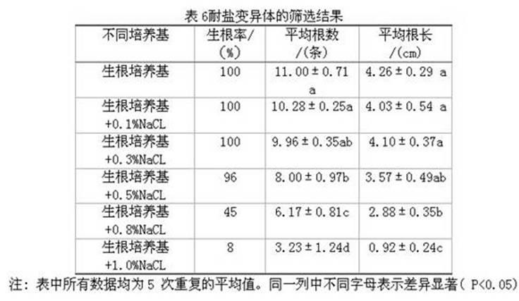 Tissue culture and rapid propagation method of salt-tolerant field mint