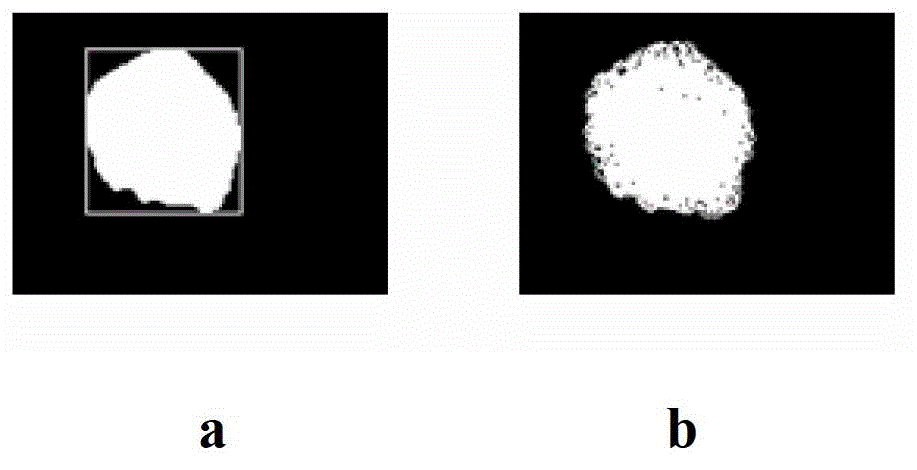 Gesture interaction system based on computer visions