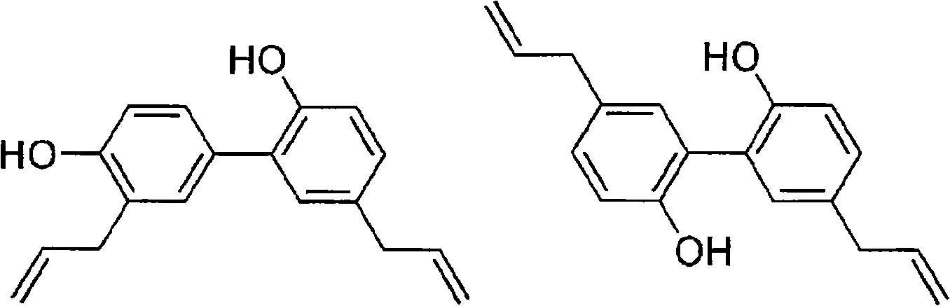 Oral compositions containing enhanced antibacterial combinations of antioxidants and extracts of magnolia