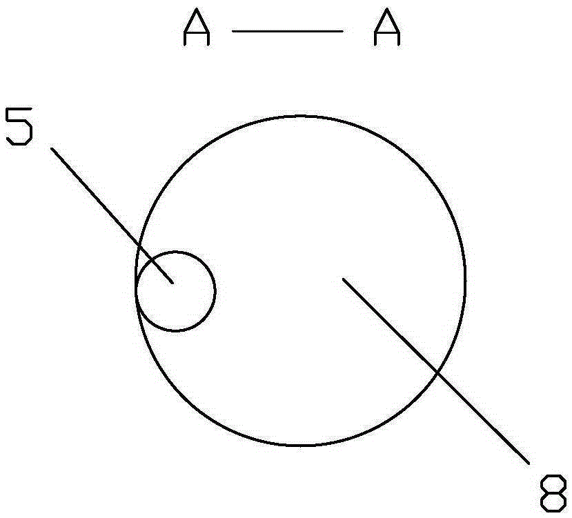 Loop type nasal biliary flushing tube