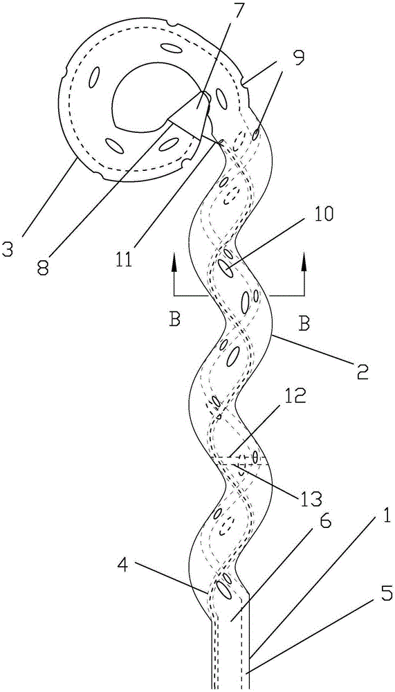 Loop type nasal biliary flushing tube