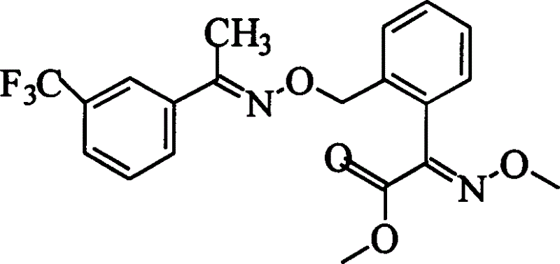 Liquid phase synthesis process of oxime strain ester by poly-ethandiol