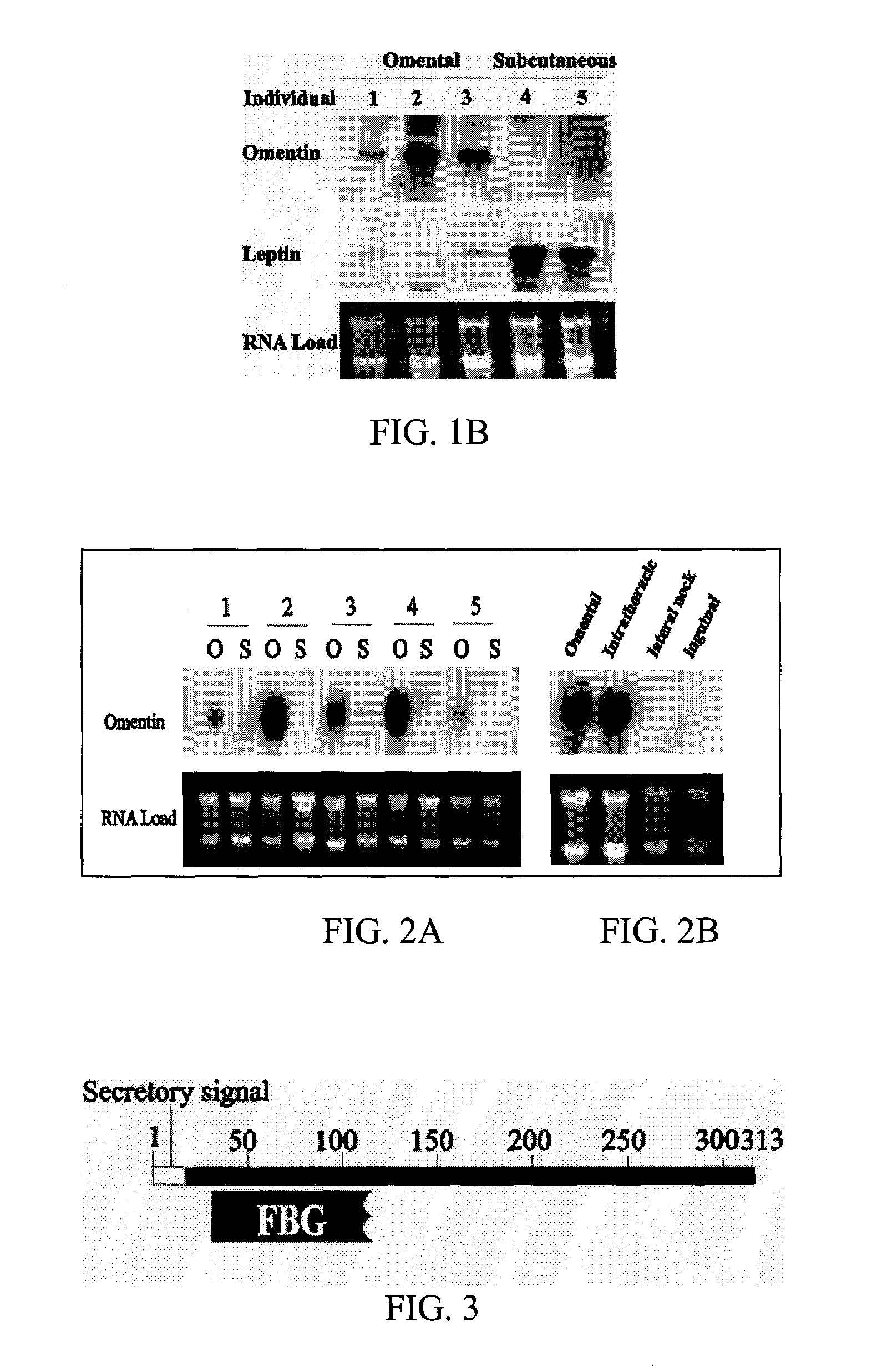 Method of modifying glucose activity using polypeptides selectively expressed in fat tissue