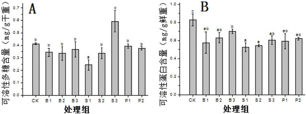 Method for controlling plant type of Chinese cymbidium through paclobutrazol