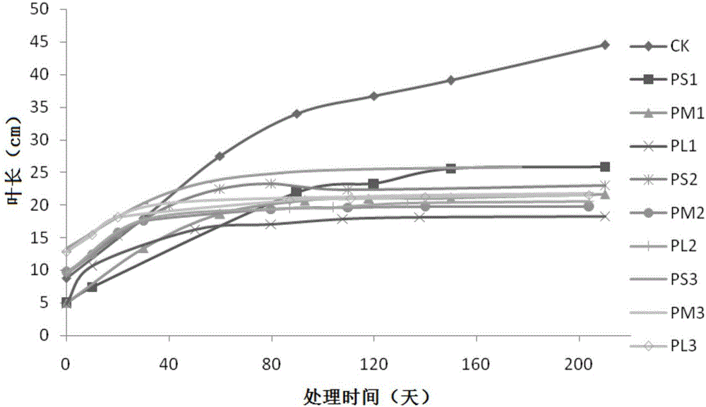 Method for controlling plant type of Chinese cymbidium through paclobutrazol