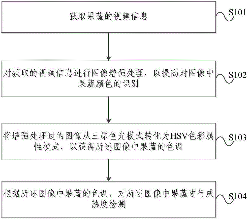 Method and device for detecting ripeness of fruits and vegetables