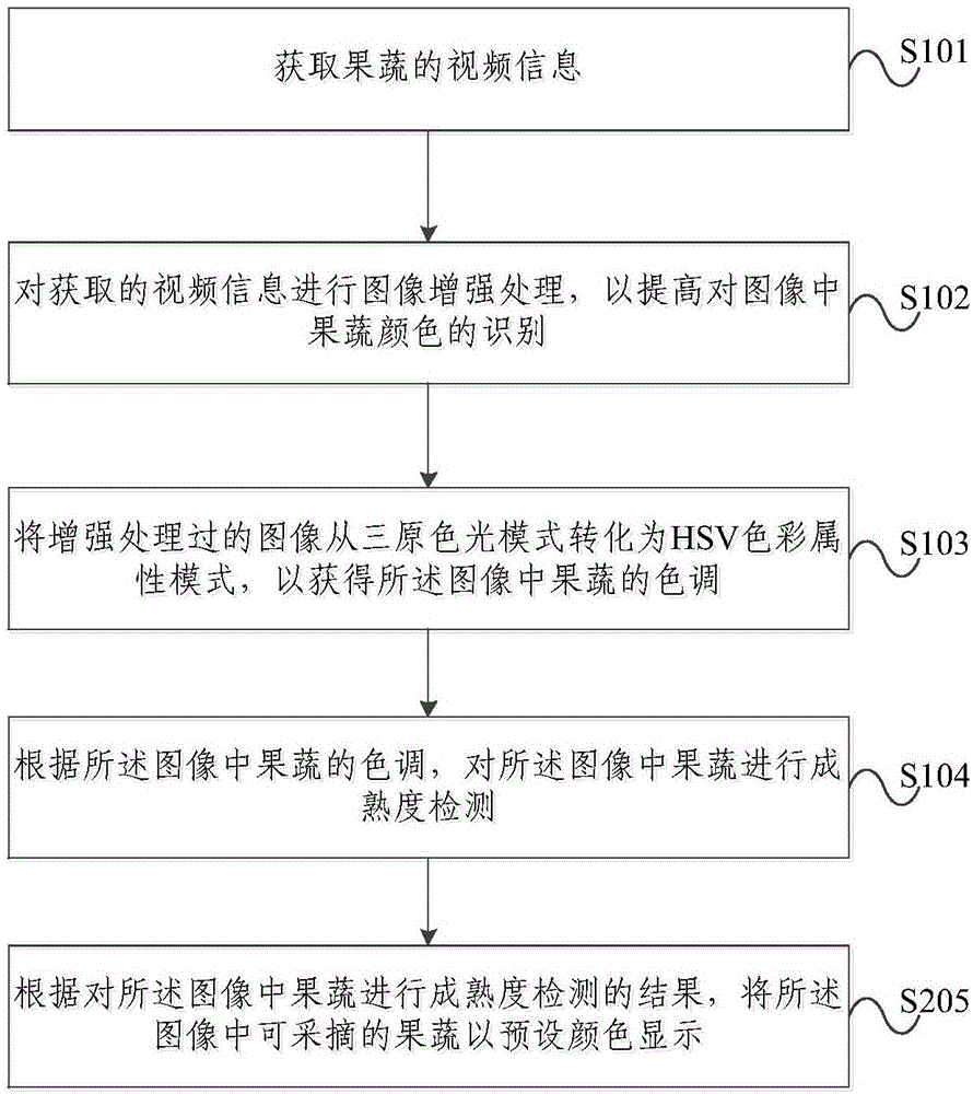 Method and device for detecting ripeness of fruits and vegetables