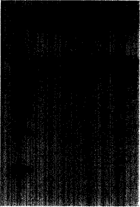 Method for extracting bacteria plasmid DNA