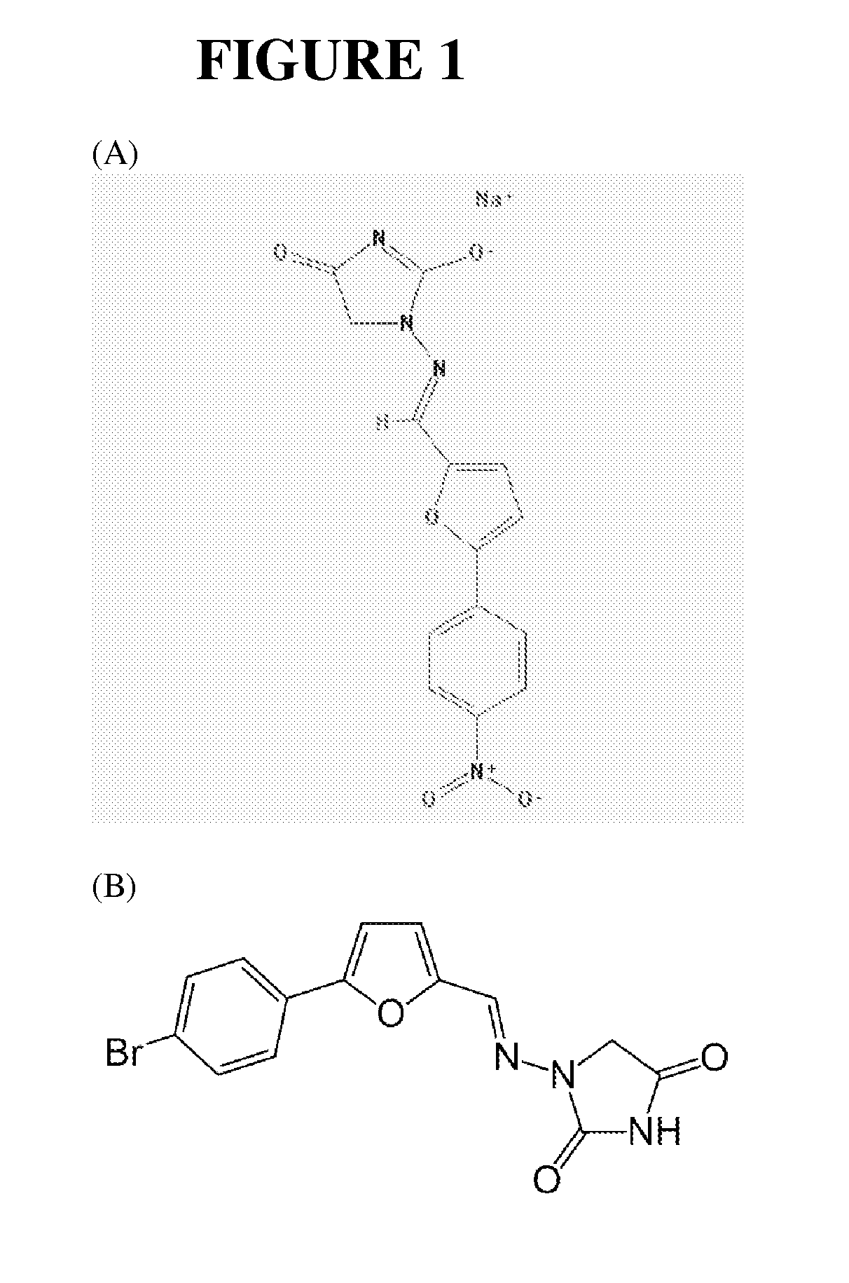 Methods of administering dantrolene for the acute treatment of cardiac arrhythmias