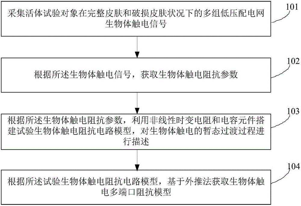 Multiport impedance model construction method based on living body electric shock impedance parameter calculation