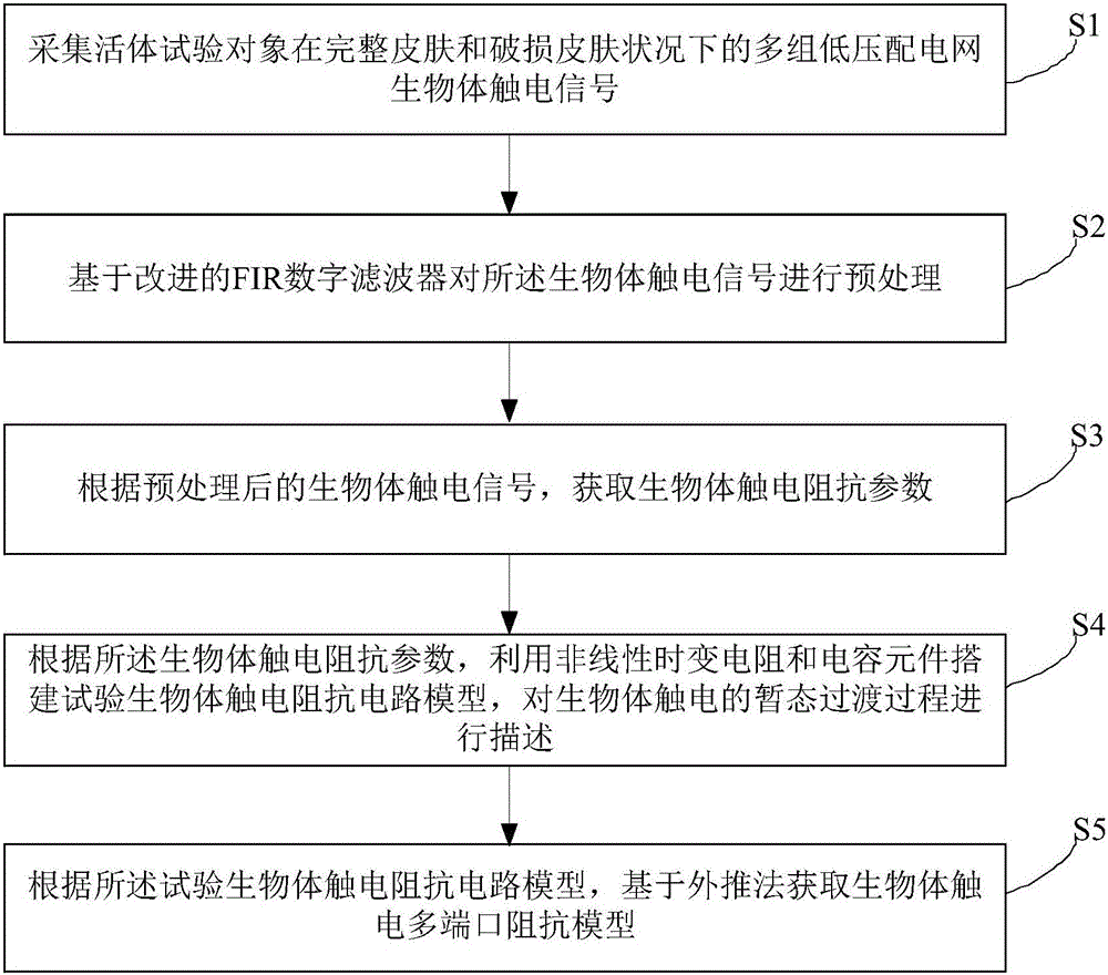 Multiport impedance model construction method based on living body electric shock impedance parameter calculation