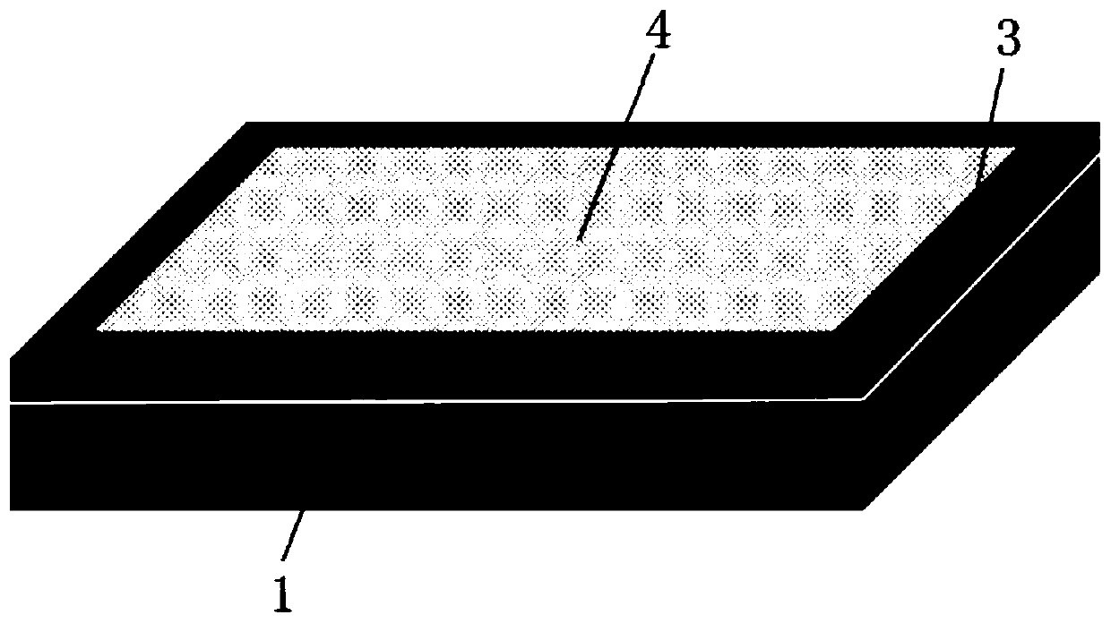 Method for culturing predatory ladybirds