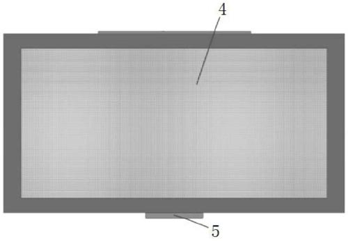 Method for culturing predatory ladybirds