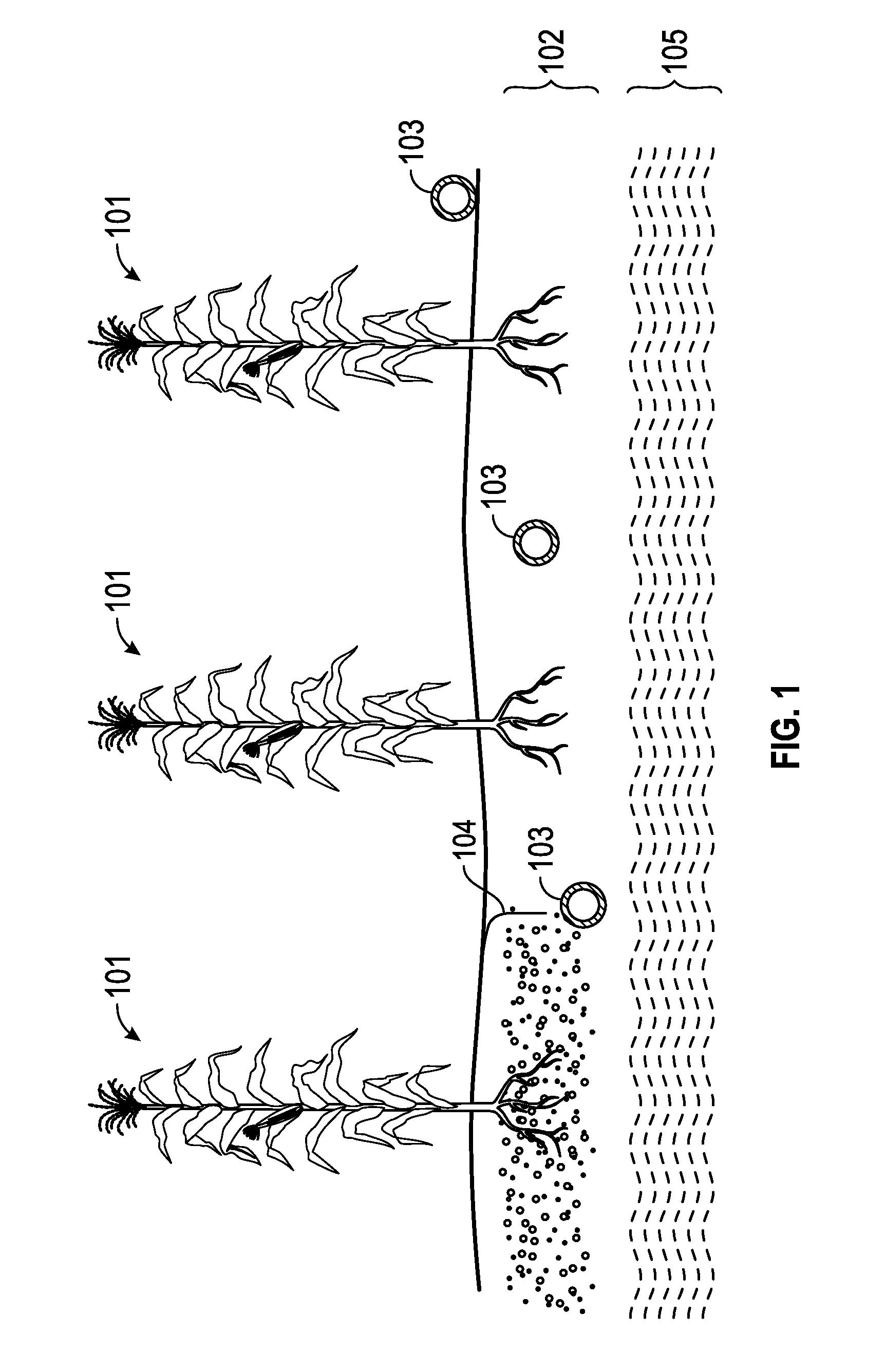 Systems and methods for detecting soil characteristics