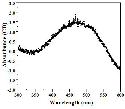 A cuprous oxide film and its application in fuel cells