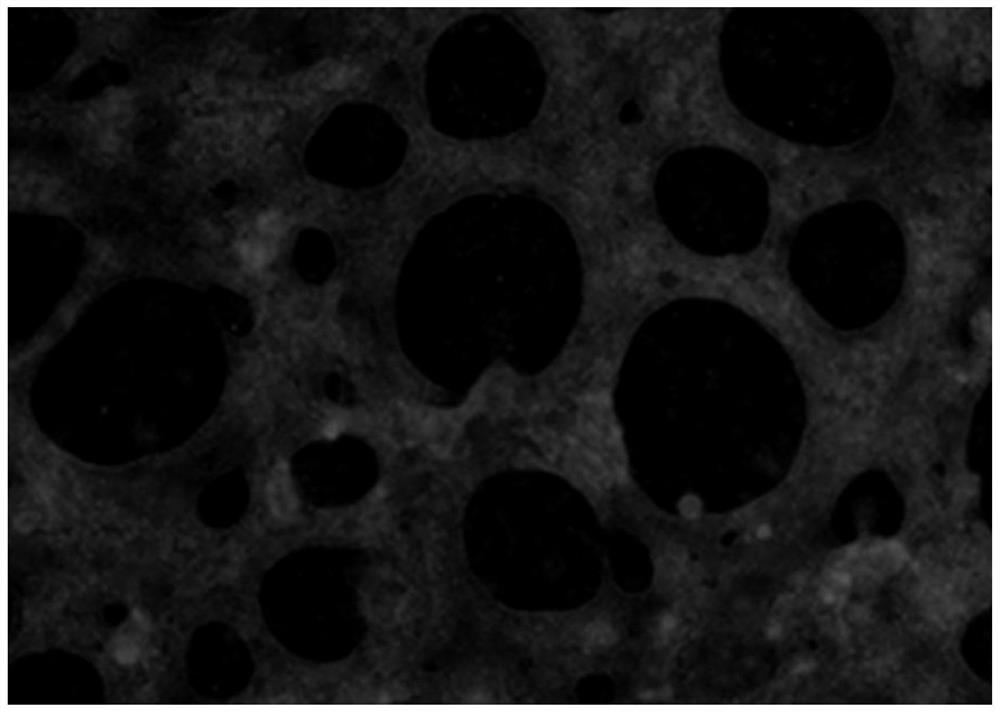 A method for inducing directional differentiation of pluripotent stem cells into cardiomyocytes