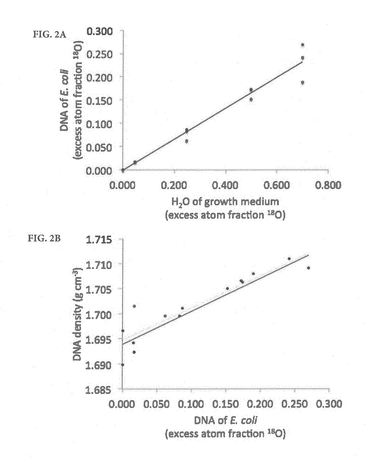 Quantitative substrate utilization in microbial ecology using stable isotope probing