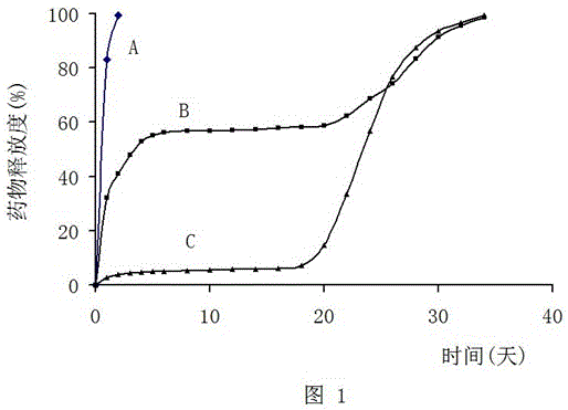 Implant capable of releasing doxorubicin continuously for long term, and preparation method thereof