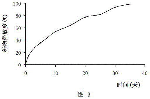 Implant capable of releasing doxorubicin continuously for long term, and preparation method thereof