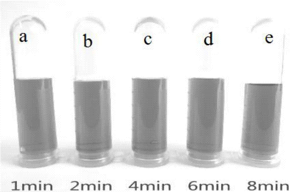 Preparation method of spherical gold nanoparticle