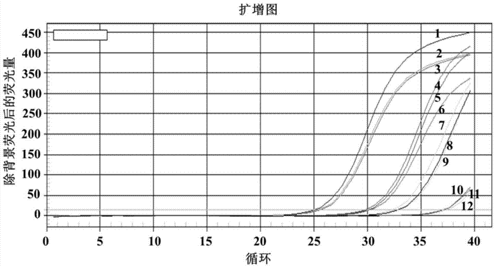 qRT-PCR (quantitative real-time polymerase chain reaction) for detecting rbsdv (rice black-streaked dwarf virus) and application thereof