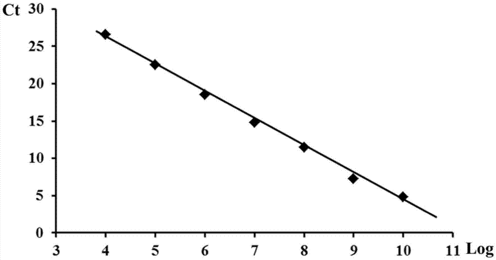 qRT-PCR (quantitative real-time polymerase chain reaction) for detecting rbsdv (rice black-streaked dwarf virus) and application thereof