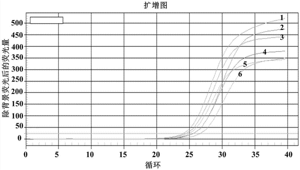 qRT-PCR (quantitative real-time polymerase chain reaction) for detecting rbsdv (rice black-streaked dwarf virus) and application thereof