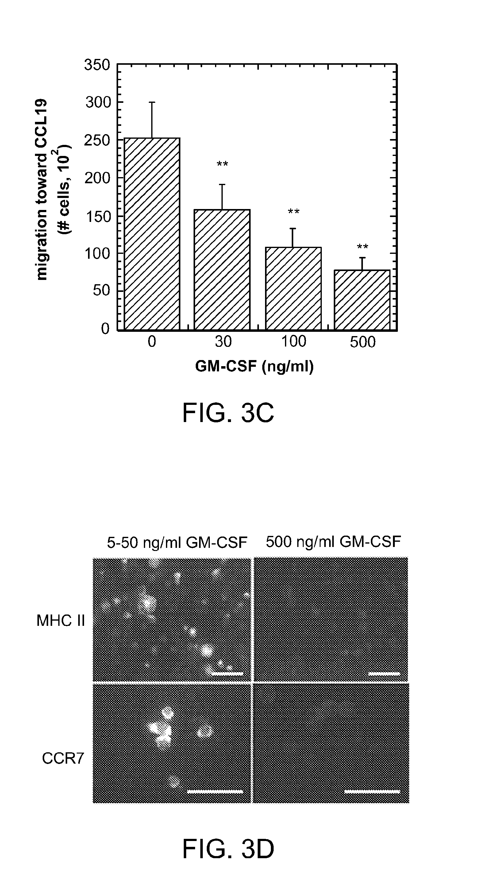 Programming of cells for tolerogenic therapies