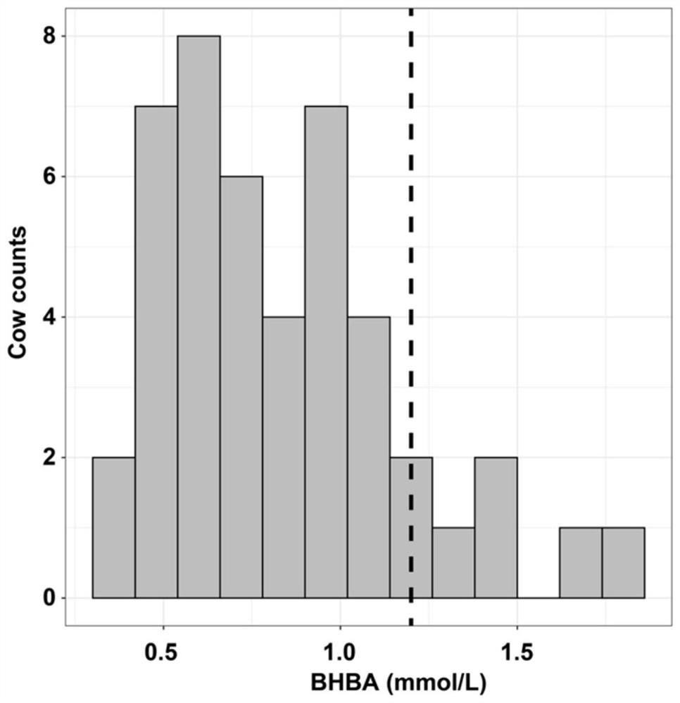 System for early prediction of postpartum subclinical ketosis of dairy cow based on intestinal microorganisms