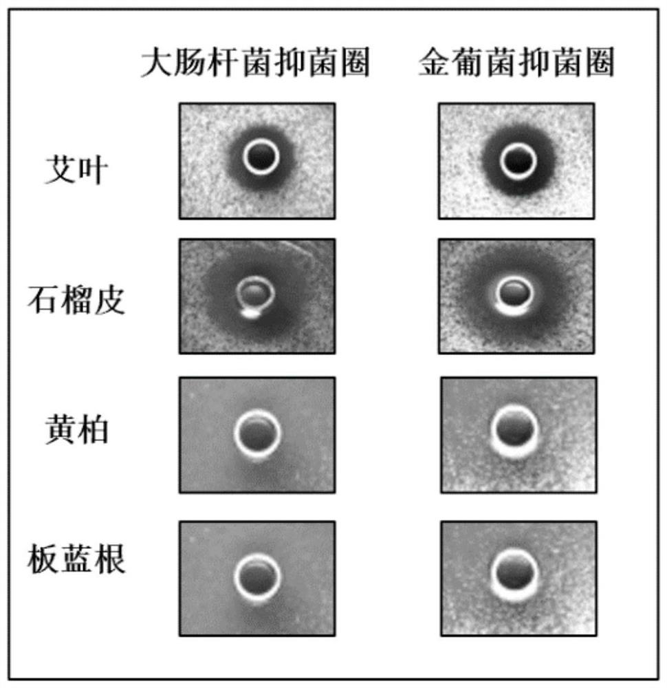 Antibacterial full-degradable plastic material based on Chinese herbal medicine extract and preparation method of antibacterial full-degradable plastic material