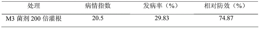 Bacillus subtilis M3 and application thereof