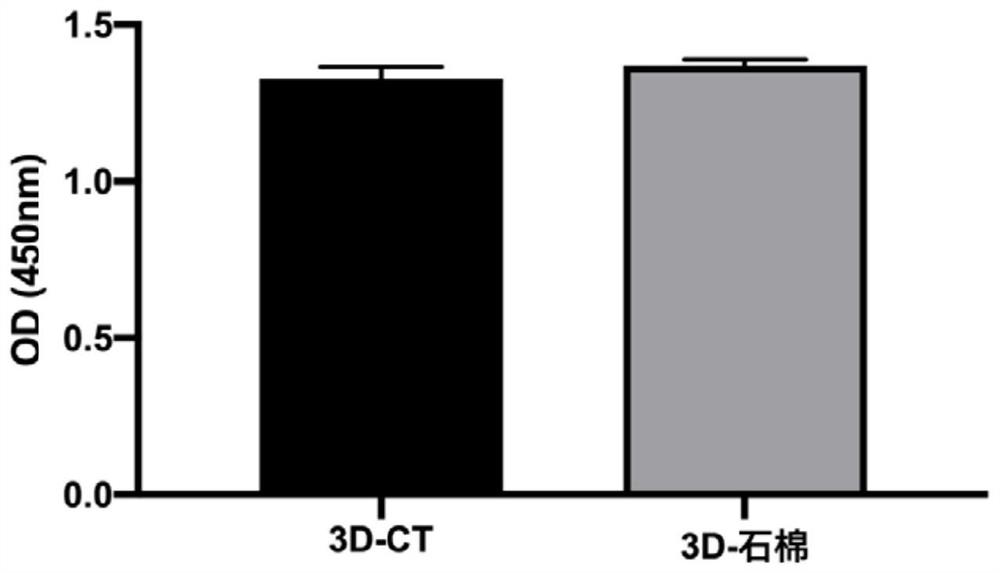 Mouse embryo fibroblast malignant transformant and application thereof