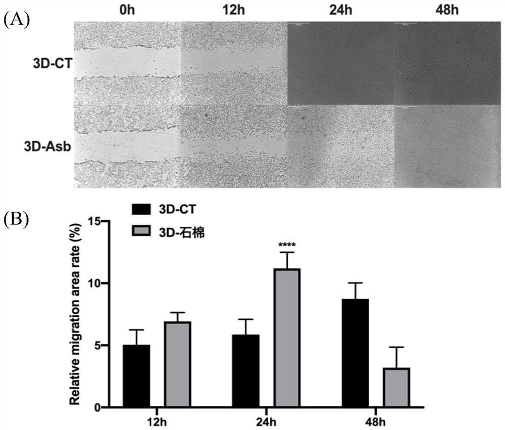 Mouse embryo fibroblast malignant transformant and application thereof