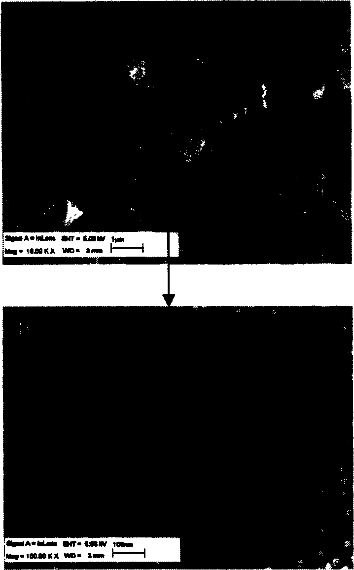 Process for preparing silver/polypyrrole composite nano materials